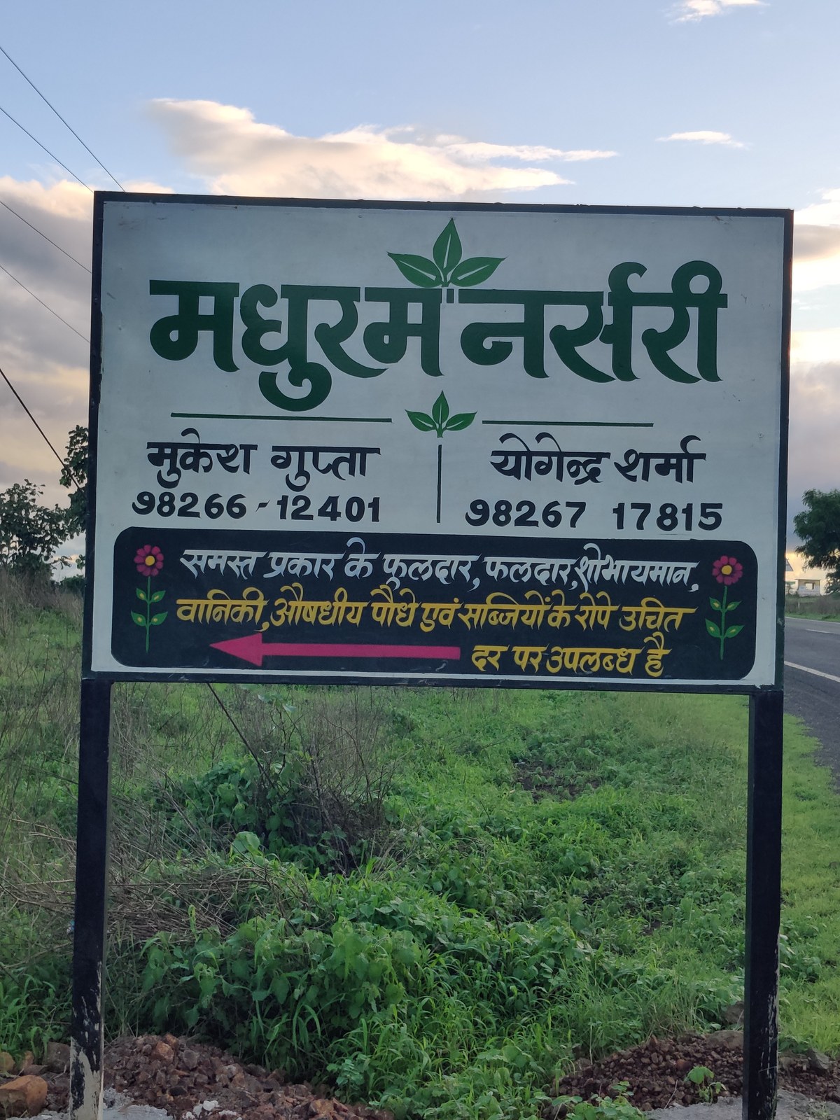 Nursery on Khargone Khandwa road